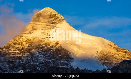 Dawn light on Mount Athabasca, Jasper National Park, Alberta, Canada Stock Photo