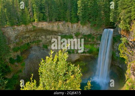 Canada, Colombie-Britannique, parc provincial Brandywine Falls, chute d'eau de la falaise dans la piscine. Credit AS: Mike Grandmaison / Jaynes Gallery / DanitaDelimo Banque D'Images