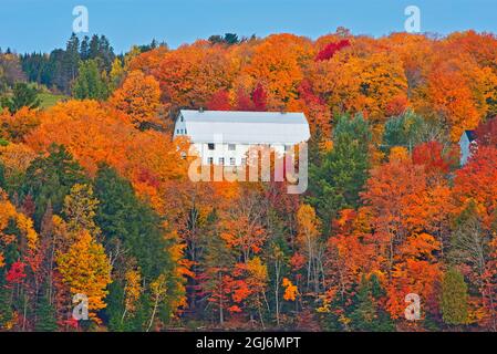 Canada, Nouveau-Brunswick, Mactaquac. Grange et forêt en feuillage d'automne. Credit AS: Mike Grandmaison / Jaynes Gallery / DanitaDelimont. com Banque D'Images