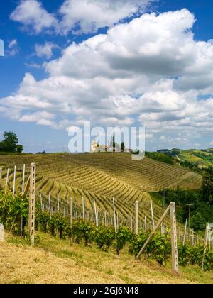 Paysage rural au printemps à Langhe près de Dogliani, province de Cuneo, Piémont, Italie, site du patrimoine mondial de l'UNESCO. Banque D'Images
