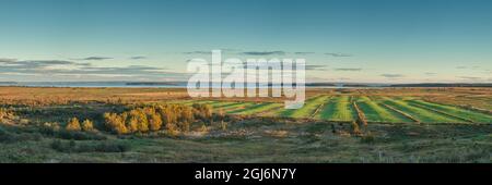 Canada, Nouveau-Brunswick, baie de Fundy, Hopewell Hill, de champs et de la baie de Fundy, la fin de l'après-midi Banque D'Images