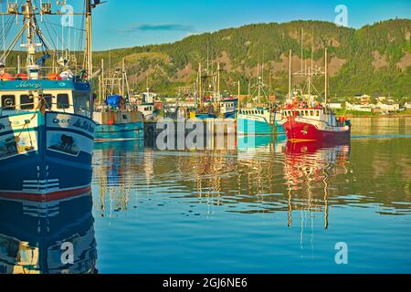 Canada, Terre-Neuve, la scie. Bateaux de pêche dans le port de la scie. Credit AS: Mike Grandmaison / Jaynes Gallery / DanitaDelimont. com Banque D'Images