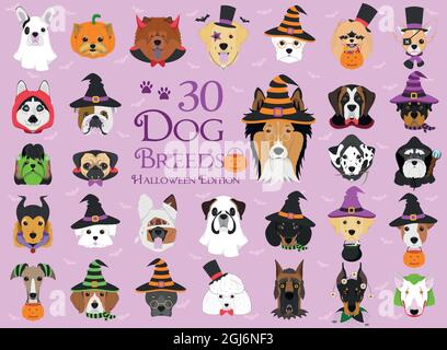 Ensemble de 30 races de chiens avec costumes d'Halloween Illustration de Vecteur