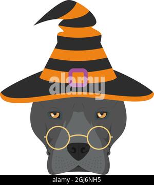 Carte de voeux pour Halloween. Chien américain Staffordshire Terrier habillé comme une sorcière avec des lunettes et un chapeau noir et orange Illustration de Vecteur