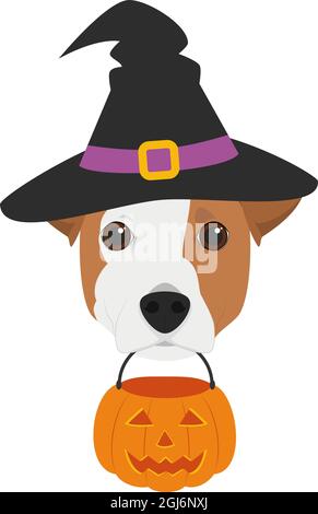 Carte de voeux pour Halloween. Jack Russell chien habillé comme une sorcière avec un chapeau noir et une citrouille dans la bouche Illustration de Vecteur