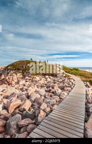 Canada, Nouvelle-Écosse, Cabot Trail. Parc national des Hautes-terres-du-Cap-Breton, Green Cove. Banque D'Images