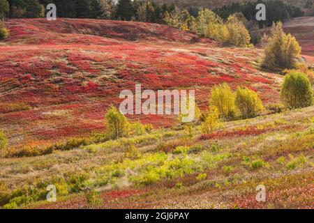 Canada, Nouvelle-Écosse, New Salem à l'automne. Banque D'Images