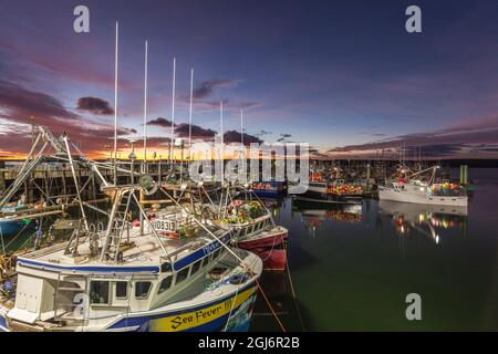 Le Canada, la Nouvelle-Écosse, Digby, zone portuaire, plus grande flotte de bateaux de pêche du pétoncle, Dawn Banque D'Images