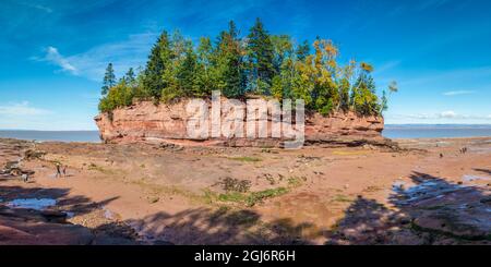 Le Canada, la Nouvelle-Écosse, Minasville, parc de Burncoat Head sur le bassin Minas, petite île à marée basse Banque D'Images