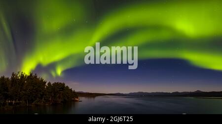 Canada, Yukon. Les lumières du nord se reflètent dans le lac Marsh à Tagish. Banque D'Images