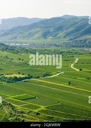 Vue sur les vignobles près du Danube depuis l'abbaye de Gottweig, site classé au patrimoine mondial de l'UNESCO, Wachau, Basse-Autriche Banque D'Images