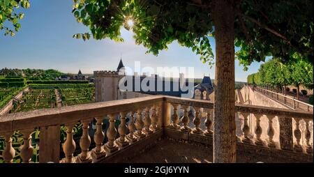 Jardins du Château de Villandry, dans la vallée de la Loire, France Banque D'Images