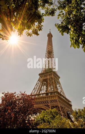 Tour Eiffel entourée d'arbres et de soleil à Paris, France. Banque D'Images