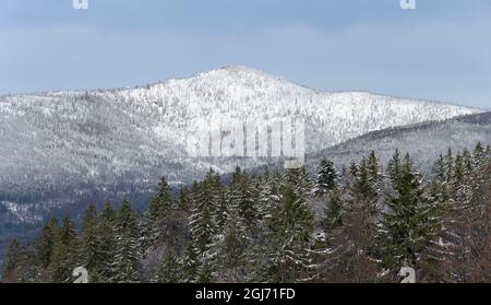 Vue sur le mont Rachel. Hiver au Mont Lusen dans le parc national de la forêt bavaroise (Bayerischer Wald). Europe centrale, Allemagne, Bavière. Banque D'Images