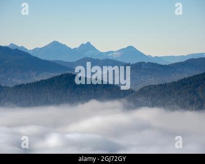 Vue depuis le Mont Hoernle sur une mer de brouillard cachant la vallée de la rivière Ammer vers Fuessen. Alpes bavaroises près d'Unterammergau dans le pays de Werdenfelser Banque D'Images