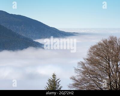 Vue depuis le mont Hoernle sur une mer de brouillard qui cache les contreforts des Alpes bavaroises. alpes bavaroises près d'Unterammergau dans le pays de Werdenfelser (werden Banque D'Images