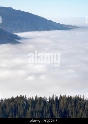 Vue depuis le mont Hoernle sur une mer de brouillard qui cache les contreforts des Alpes bavaroises. alpes bavaroises près d'Unterammergau dans le pays de Werdenfelser (werden Banque D'Images