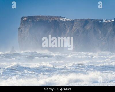 Côte près de Vik i Myrdal en hiver. Plage volcanique noire Reynisfjara, vue vers Dyrholaey, Islande. Banque D'Images