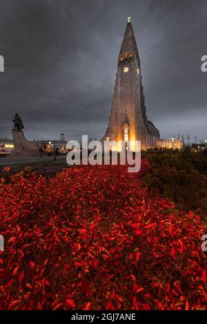 Reykjavik, Islande Hallgrimskirkja église avec statue de Leif Erikson Banque D'Images