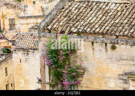 Italie, Sicile, province de Matera, Matera. Sommaire des vieilles maisons et les toits. Banque D'Images