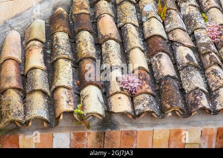 Italie, Sicile, province de Matera, Matera. Close-up de tuiles avec des fleurs entre eux. Banque D'Images
