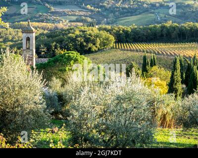 Europe, Italie, Chianti. Pieve di Santa Maria Novella près de Radda in Chianti. Banque D'Images