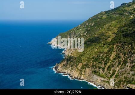 Côte du parc national des Cinque Terre au sud de Riomaggiore, Cinque Terre, Italie. Banque D'Images
