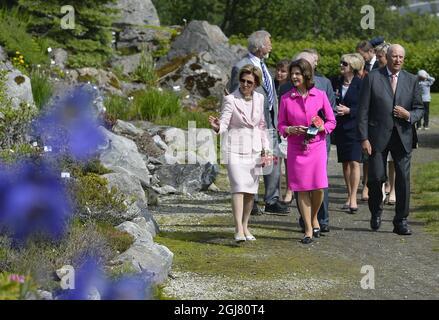 TROMSÃ– 2013-06-19 le roi Carl XVI Gustaf, la reine Silvia de Suède et le roi Harald et la reine Sonja de Norvège, visite la ville de Tromso, jardin botanique arctique nord de la Norvège le 19 juin 2013. Les Royals suédois sont en visite officielle sur invitation du roi Harald de Norvège. Photo Anders Wiklund / SCANPIX / Kod 10040 Banque D'Images