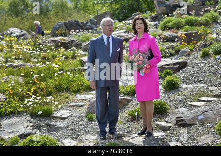 TROMSÃ– 2013-06-19 le roi Carl XVI Gustaf, la reine Silvia de Suède et le roi Harald et la reine Sonja de Norvège, visite la ville de Tromso, jardin botanique arctique nord de la Norvège le 19 juin 2013. Les Royals suédois sont en visite officielle sur invitation du roi Harald de Norvège. Photo Anders Wiklund / SCANPIX / Kod 10040 Banque D'Images