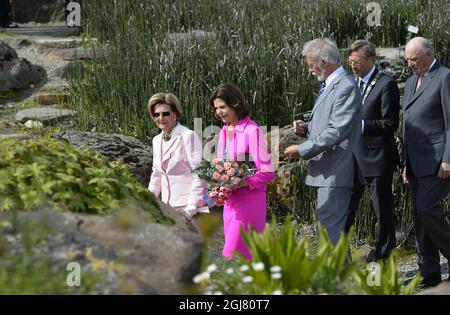 TROMSÃ– 2013-06-19 le roi Carl XVI Gustaf, la reine Silvia de Suède et le roi Harald et la reine Sonja de Norvège, visite la ville de Tromso, jardin botanique arctique nord de la Norvège le 19 juin 2013. Les Royals suédois sont en visite officielle sur invitation du roi Harald de Norvège. Photo Anders Wiklund / SCANPIX / Kod 10040 Banque D'Images