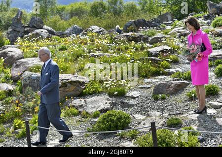 TROMSÃ– 2013-06-19 le roi Carl XVI Gustaf, la reine Silvia de Suède et le roi Harald et la reine Sonja de Norvège, visite la ville de Tromso, jardin botanique arctique nord de la Norvège le 19 juin 2013. Les Royals suédois sont en visite officielle sur invitation du roi Harald de Norvège. Photo Anders Wiklund / SCANPIX / Kod 10040 Banque D'Images