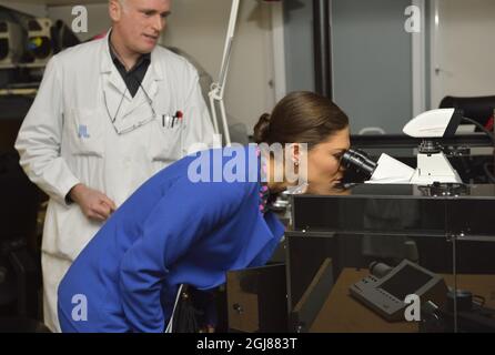 STOCKHOLM 2013-11-14 l'ingénieur de recherche principal Martin Kohler présente la microscopie confocale Crown Princess Victoria utilisée pour les images cellulaires 3D lorsque la Crown Princess visite le Rolf Luft Center for Diabetes Research à l'Institut Karolinska ( KI ) de Solna, Suède, le 14 novembre 2013. Photo: Henrik Montgomery / TT / Code 10060 Banque D'Images