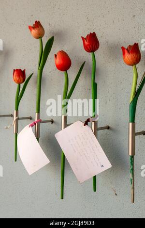 Europe, pays-Bas, Amsterdam. Messages et fleurs du Mémorial national de l'Holocauste. Credit AS: Wendy Kaveney / Galerie Jaynes / DanitaDelimo Banque D'Images