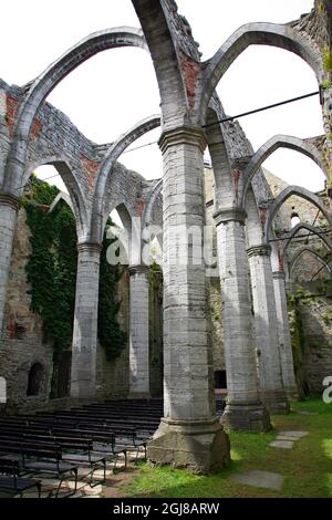 VISBY 2012-07-30 ruines de l'église Sainte-Catherine à Visby, Gotland, Suède. Ville hanséatique de Visby Ancien site viking sur l'île de Gotland, Visby a été le principal centre de la Ligue hanséatique dans la Baltique du XIIe au XIVe siècle. Ses remparts du XIIIe siècle et plus de 200 entrepôts et de riches habitations de marchands de la même période en font la ville commerciale fortifiée la mieux préservée d'Europe du Nord. *** Sankta Katarina kyrkoruin i Visby. Foto Johan Bjurer / SCANPIX Kod 10431 Banque D'Images