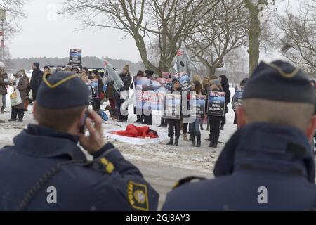 STOCKHOLM 20140123 un activiste peint en rouge est couché sur le drapeau japonais lors d'une manifestation organisée par l'Alliance suédoise pour les droits des animaux à l'extérieur de l'ambassade japonaise à Stockholm le jeudi 23 janvier 2014. Le Japon est le pays qui tue le plus grand nombre de dauphins et de baleines au monde. À la fin de la semaine dernière, environ 250 grands dauphins ont été rassemblés et capturés dans le golfe dans la ville de Taiji, qui est notoire après le documentaire 'The Cove'. Le sort des dolphines est soit vendu à un delphinarium, soit abattu. Foto Bertil Enevag Ericson / TT / Kod 10 Banque D'Images