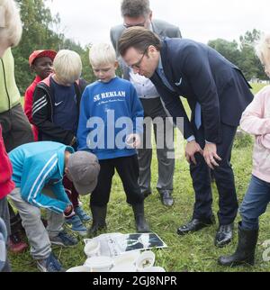 OREBRO 20140903 le prince Daniel rencontre des enfants qui collectent des têtards dans la réserve naturelle de l'Oset à l'extérieur d'Orebro, lors de sa visite d'une journée complète dans la ville, qui comprenait également des visites à l'université, à l'église et à un centre de jeunesse. Foto: Fredrik Sandberg / TT / Kod 10080 Banque D'Images