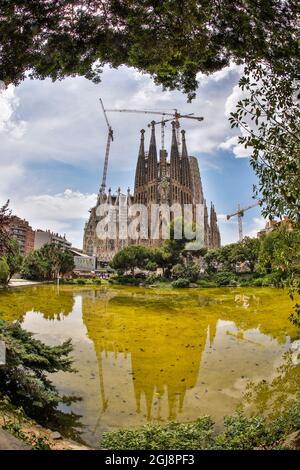 Espagne, Barcelone. La Sagrada Familia se reflète dans un étang. Banque D'Images
