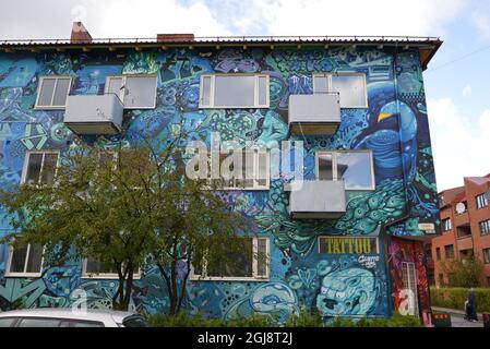 MALMO 2014-09-25 Un tableau est vu sur un bâtiment à Malmo, Suède, septembre 2014. La peinture a été faite par un résident local avec la permission du propriétaire et a pris deux ans pour terminer. . Foto: Johan Nilsson / TT / Kod 50090 Banque D'Images