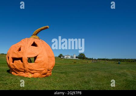 Octobre et novembre, les mois pour les citrouilles. Banque D'Images