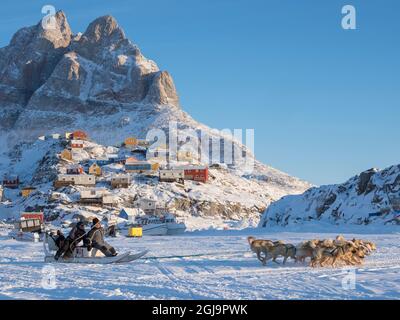 Chien de traîneau pendant l'hiver à Uummannaq au Groenland, une équipe de chiens avec des pêcheurs quittant le port gelé. Les équipes de chiens sont des animaux de trait pour les pêcheurs Banque D'Images