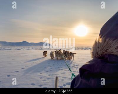 Chasseur inuit sur traîneau à chiens sur la glace de mer de la baie Melville, près de Kullorsuaq, dans le nord du Groenland. Amérique du Nord, territoire danois Banque D'Images