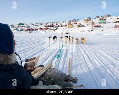 Chasseur inuit avec un phoque chassé sur un traîneau à chiens sur la glace de mer de la baie Melville, près de Kullorsuaq, dans le nord du Groenland. Amérique du Nord, territoire danois Banque D'Images