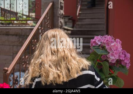 Femme blonde à cheveux longs agençant des fleurs d'hortensia roses. Banque D'Images