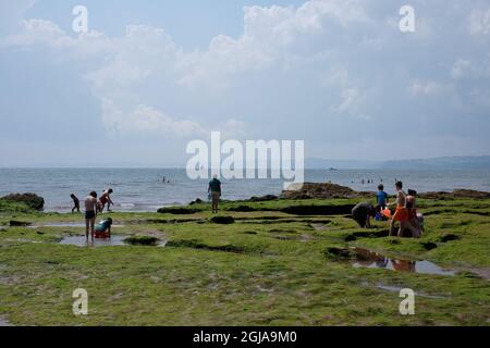 La marée basse à la plage d'Exmouth expose une zone plate de marée riche pour l'exploration de la mise en commun des roches. Banque D'Images