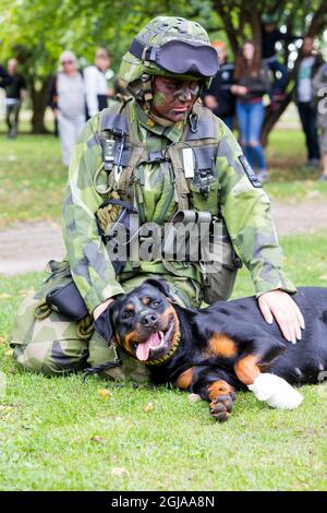 KRISTIANSTAD 2016-09-17 des soldats suédois sont vus lors d'un exercice dans la ville de Kristianstad, au sud de la Suède. Animal, chien, uniforme, casque, Foto militaire: PEO Moller / TOPNEWS.se / Kod 11193 uniforme, militaire, arme Banque D'Images