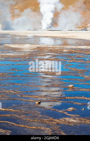 Chili, San Pedro de Atacama, Tatio geysers. La vapeur montante d'un geyser se reflète dans le ruissellement d'eau des différents fumaroles. Banque D'Images