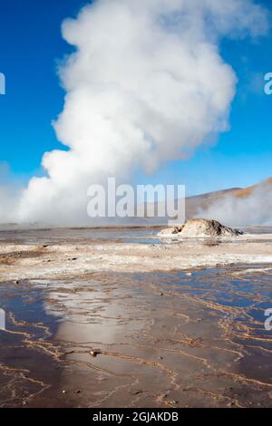 Chili, San Pedro de Atacama, Tatio geysers. La vapeur montante d'un geyser se reflète dans le ruissellement d'eau des différents fumaroles. Banque D'Images