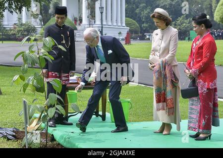 JAKARTA 20170522 le roi Carl Gustaf est vu planter un arbre avec la reine Silvia et le président indonésien Joko Widodo avec la femme Irinia lors d'une cérémonie de bienvenue au palais présidentiel de Jakarta, Indonésie. Les Royals suédois font une longue visite d'État de trois jours en Indonésie. Foto: Jonas Ekstromer / TT / Kod 10030 indovisit2017 Banque D'Images