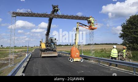 SVABESHOLM 2017-08-29 mardi après-midi, le pont de la porte MICE a été élevé à Svabesholm au sud de Kivik. Les plantes grimpantes comme les roses et les mûres attireront les souris de porte à grimper et traverser un pont et éviter de traverser une route très fréquentée - "Un portail d'amour", l'Administration suédoise des transports appelle l'initiative qui permettra aux hommes et aux femmes de continuer à se rencontrer. Les souris de porte ont apprécié la région pendant des décennies et les nids de mâles ont été trouvés d'un côté de la nouvelle route et les femelles de l'autre côté. Photo: Johan Nilsson / TT / Kod 50090 Banque D'Images