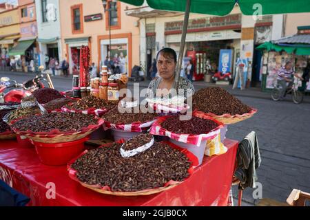 Mexique, Oaxaca. Marché Benito Juarez. Plusieurs centaines d'étals offrent de la nourriture, des vêtements, des mezcal, des objets d'artisanat et des souvenirs. Femme vend des grillons frits. Banque D'Images